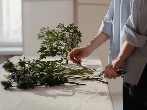 BVI 2025年合規(guī)提醒與監(jiān)管動(dòng)態(tài)更新