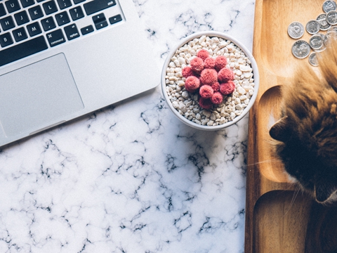 注冊(cè)美國(guó)公司選哪個(gè)州？特拉華與加州稅務(wù)差異達(dá)2萬(wàn)美元